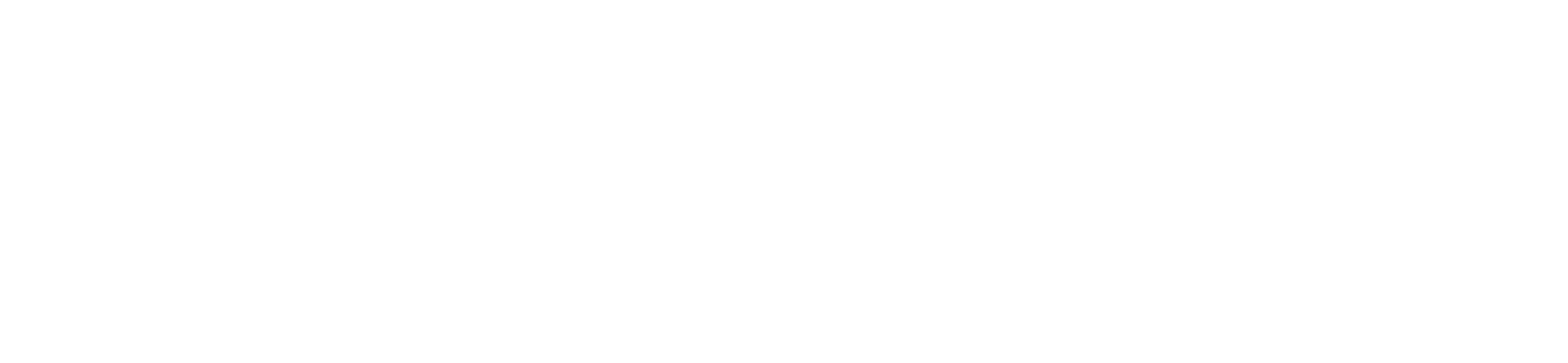 lightera-logo