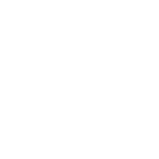 nau-capital